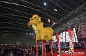 VBS_8956 - Festival dell'Oriente 2023